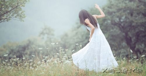 晚安心语：美从来不少，只要去寻找 (8)