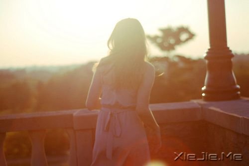 晚安心语：美从来不少，只要去寻找 (9)