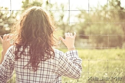 晚安心语：美从来不少，只要去寻找 (10)
