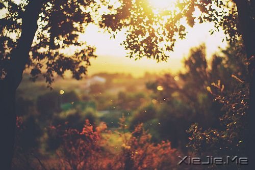 早安心语：做单纯的人，走幸福的路 (4)