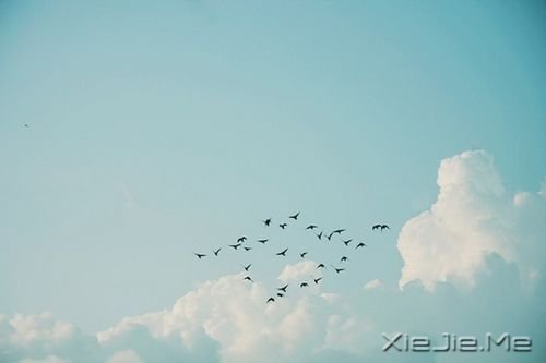 早安心语：做单纯的人，走幸福的路 (8)