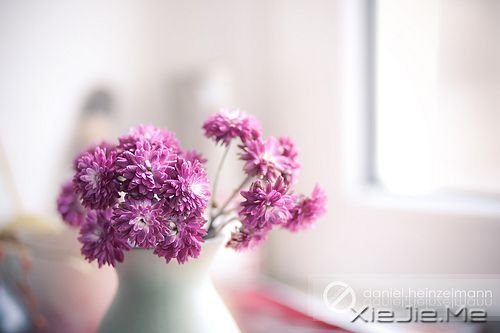 晚安心语：带上最美的笑容且行且珍惜 (2)